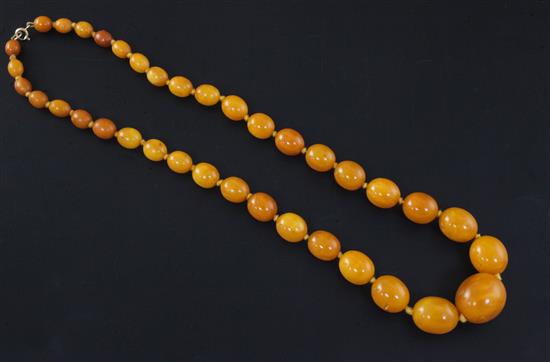 A single strand graduated oval amber bead necklace, 58cm.